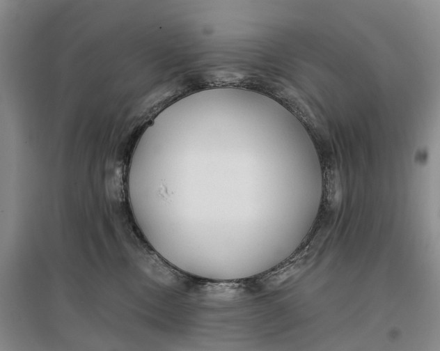 X0000096710378200802261635