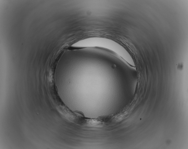 X0000096710380200802261635