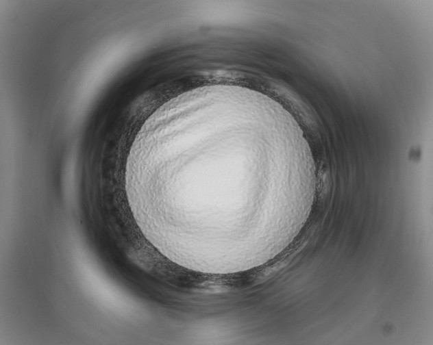 X0000096710381200802261635