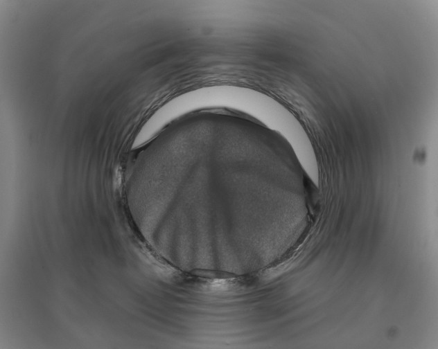 X0000096710382200802261635