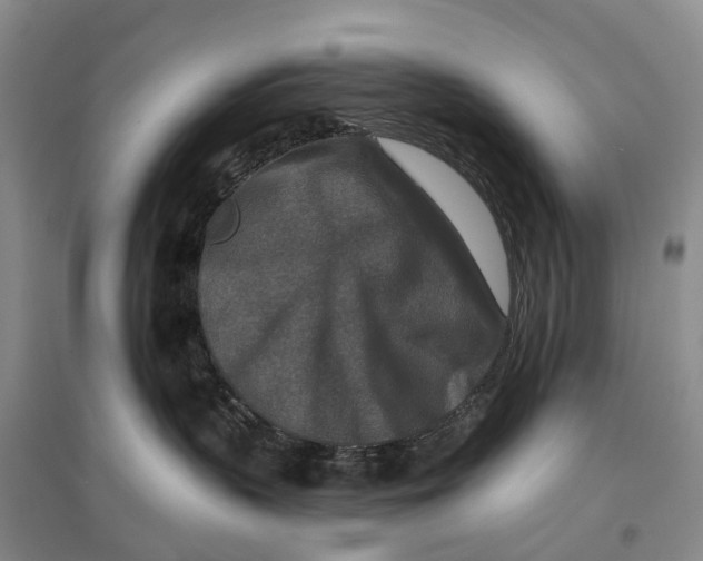 X0000096710383200802261635