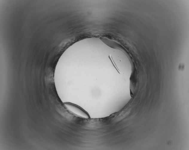 X0000096710384200802261635