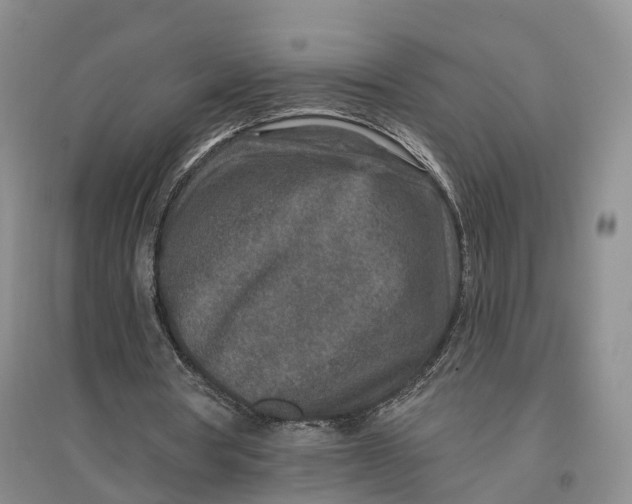 X0000096710386200802261634