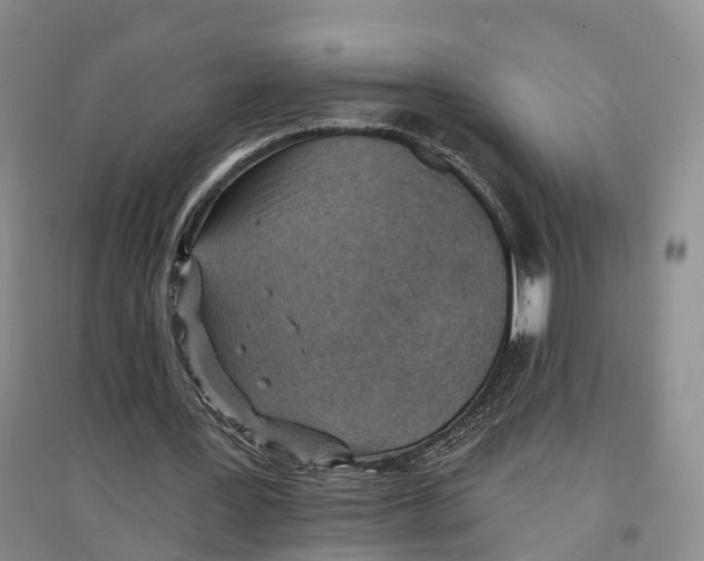 X0000096710387200802261634