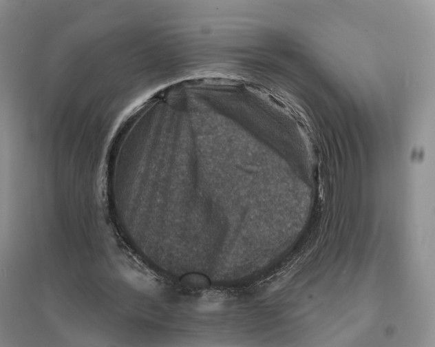 X0000096710388200802261634