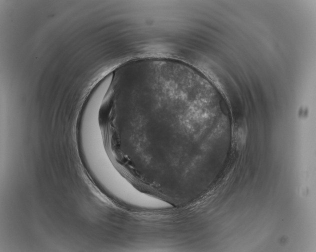 X0000096710389200802261634