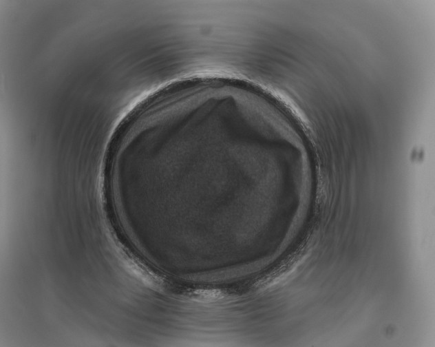 X0000096710391200802261634