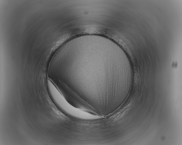 X0000096710393200802261634