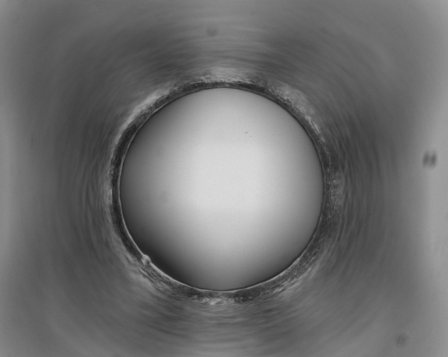 X0000096710395200802261634