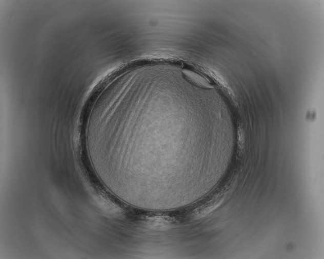 X0000096710396200802261634