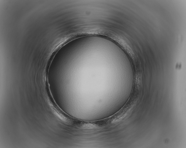 X0000096710397200802261634