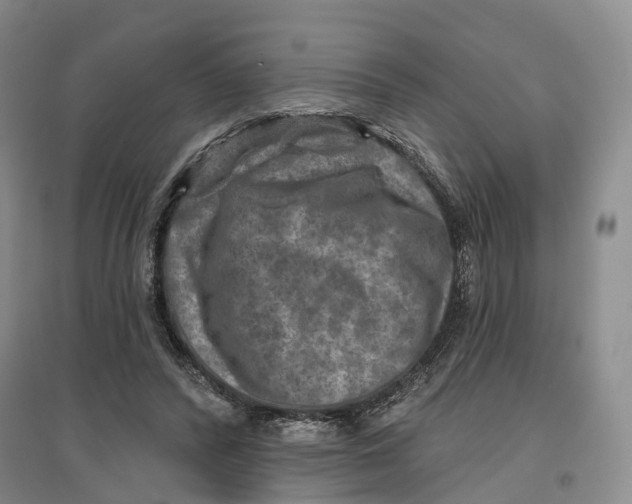 X0000096710400200802261634