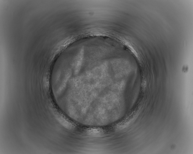 X0000096710402200802261634