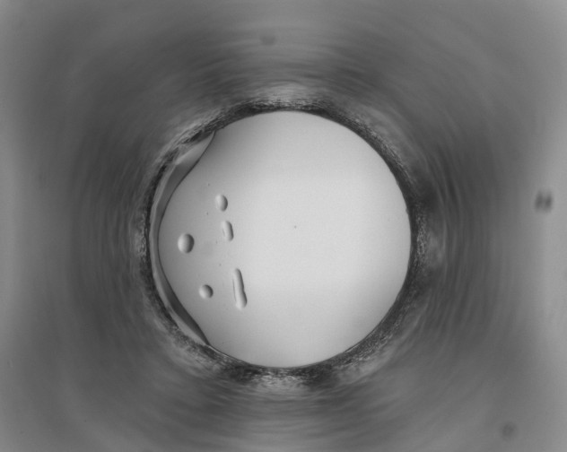 X0000096710403200802261634