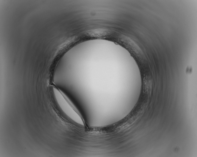 X0000096710404200802261634