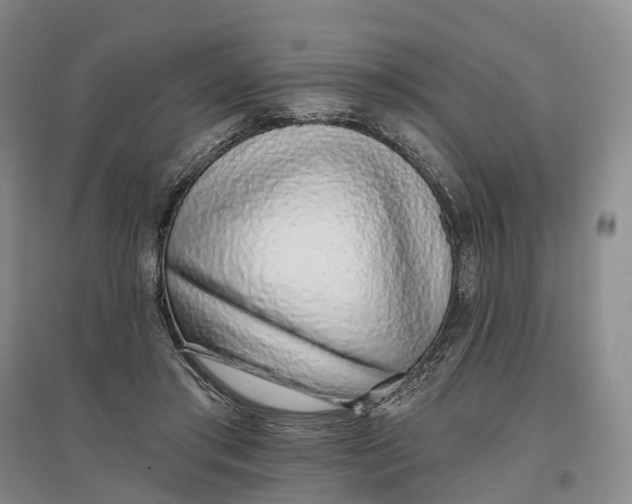 X0000096710405200802261634