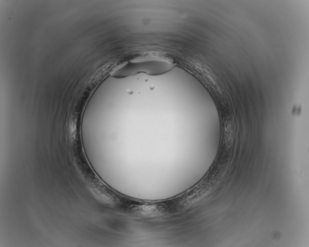 X0000096710406200802261634