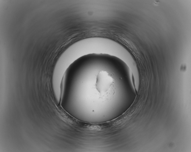 X0000096710409200802261634