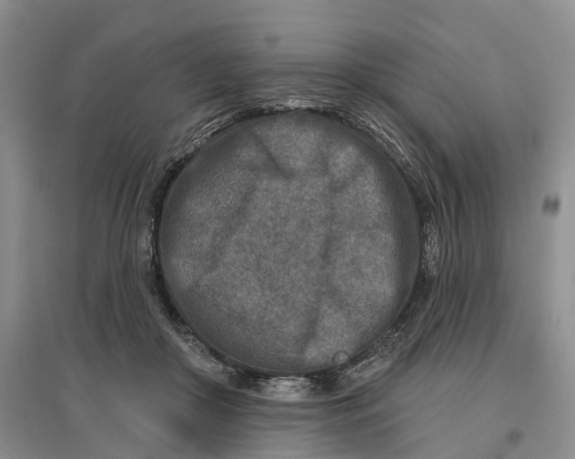 X0000096710410200802261634