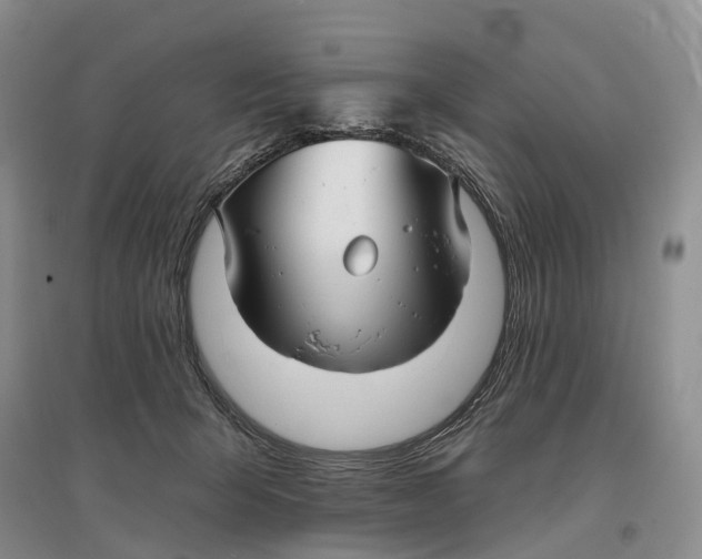 X0000096710415200802261634