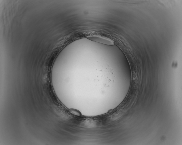 X0000096710416200802261634