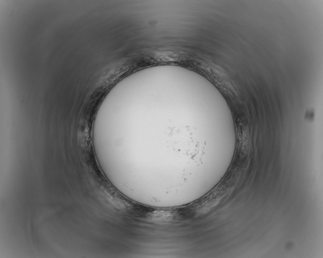 X0000096710418200802261634