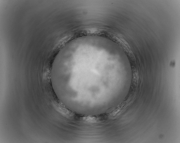 X0000096710419200802261634