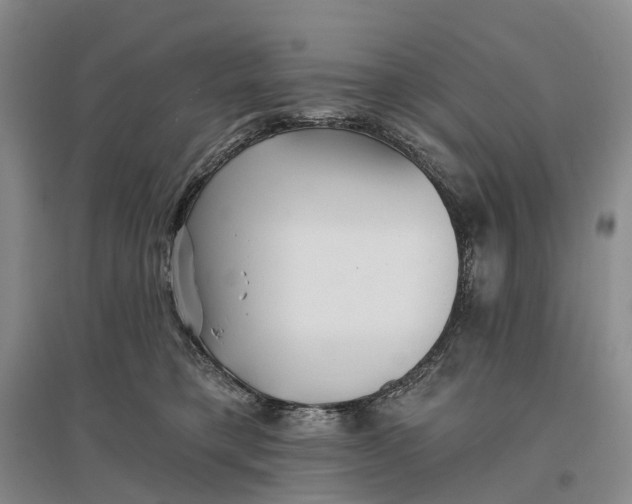 X0000096710421200802261634