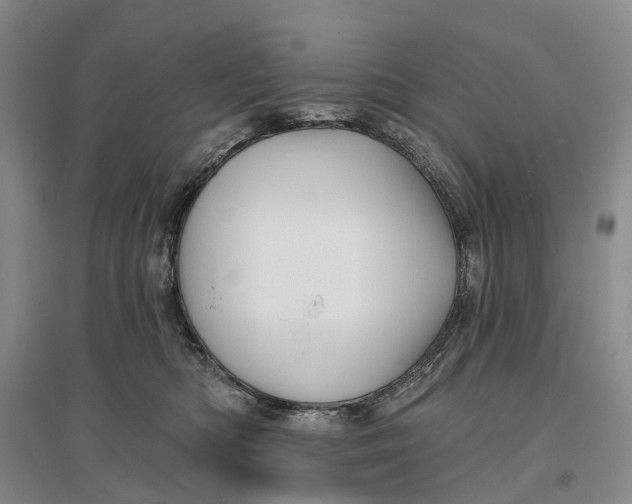 X0000096710422200802261634