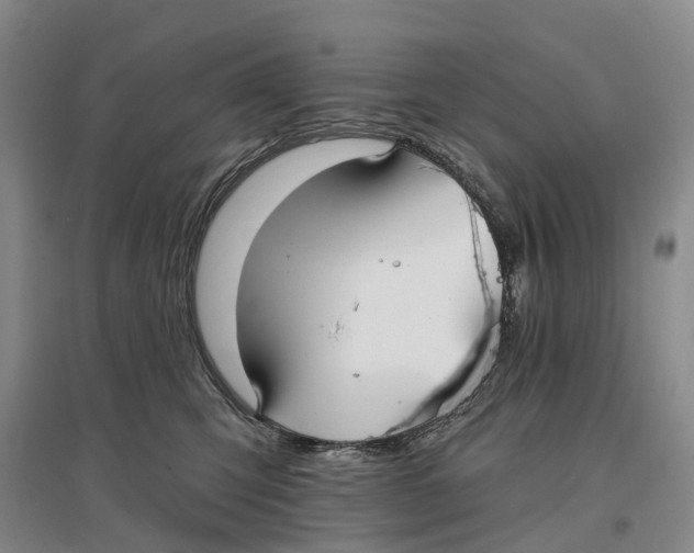 X0000096710423200802261634