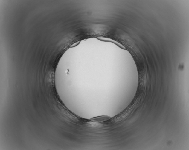 X0000096710425200802261633