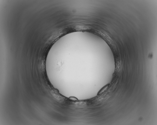 X0000096710426200802261633