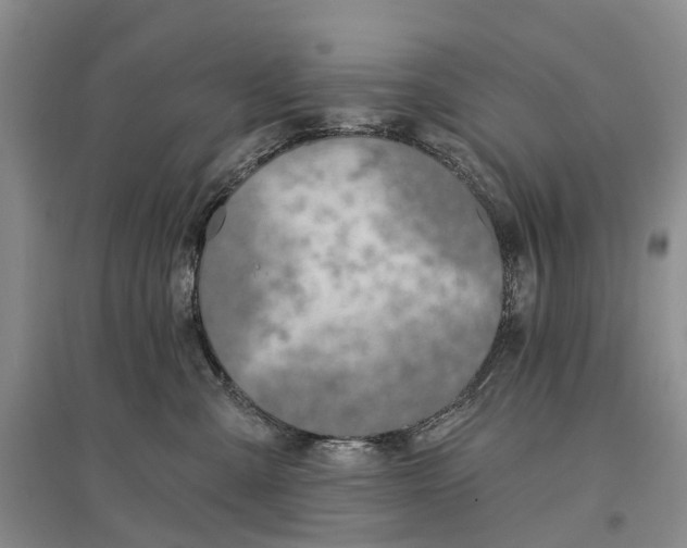 X0000096710427200802261633