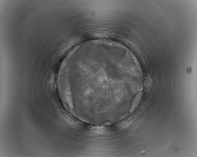 X0000096710428200802261633