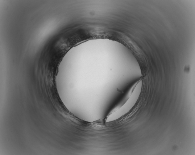 X0000096710429200802261633