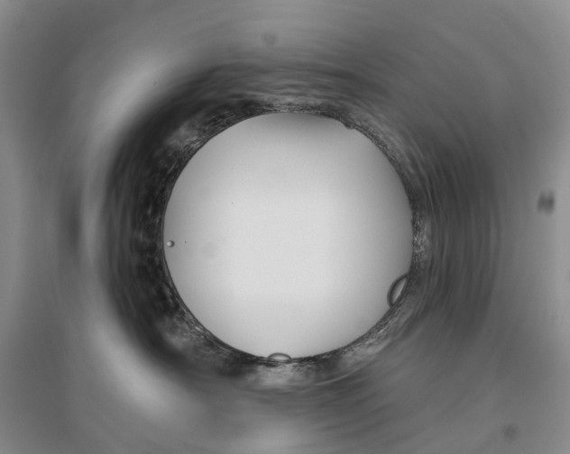 X0000096710430200802261633