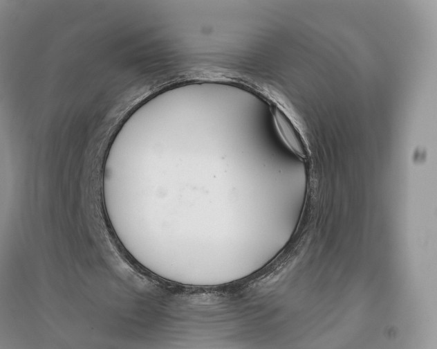 X0000096710433200802261633