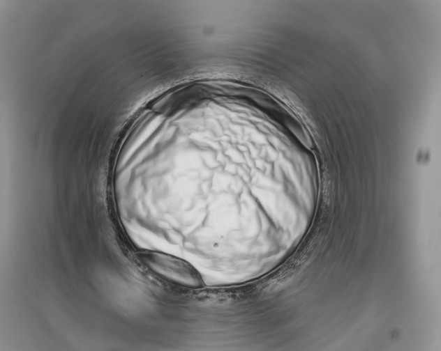 X0000096710434200802261633