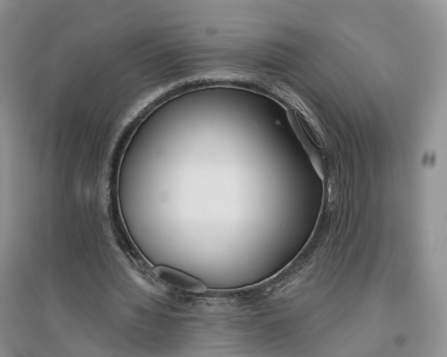 X0000096710436200802261633