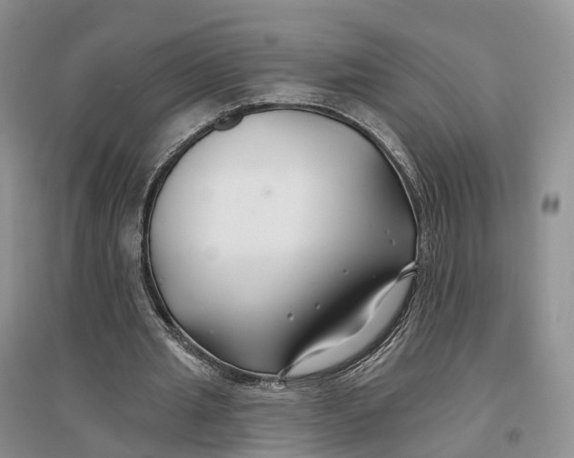 X0000096710437200802261633