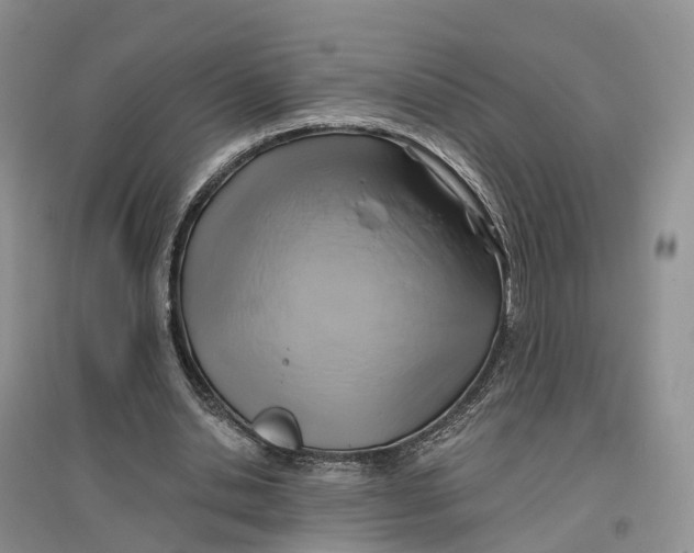 X0000096710438200802261633