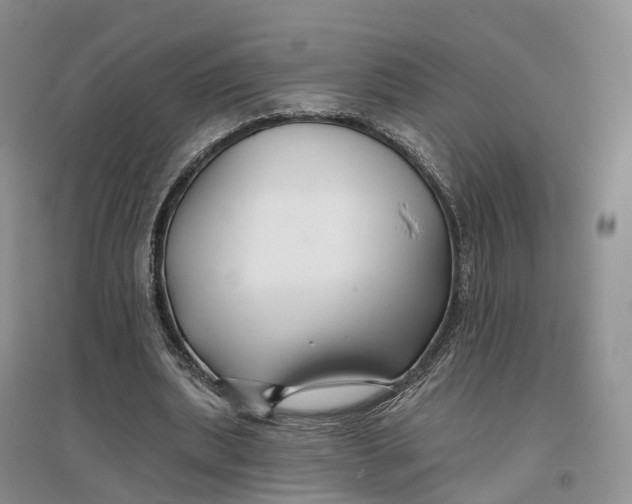 X0000096710439200802261633