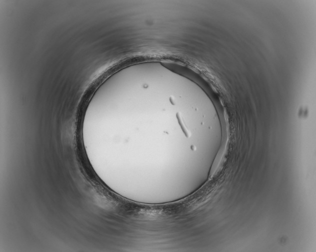 X0000096710440200802261633