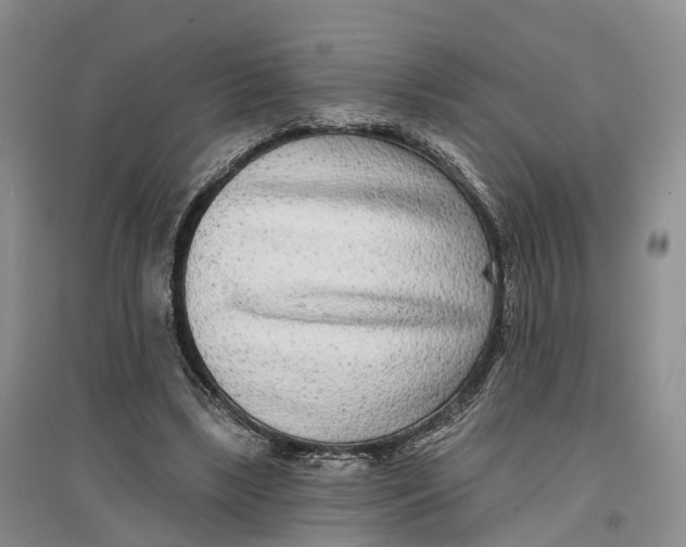 X0000096710443200802261633