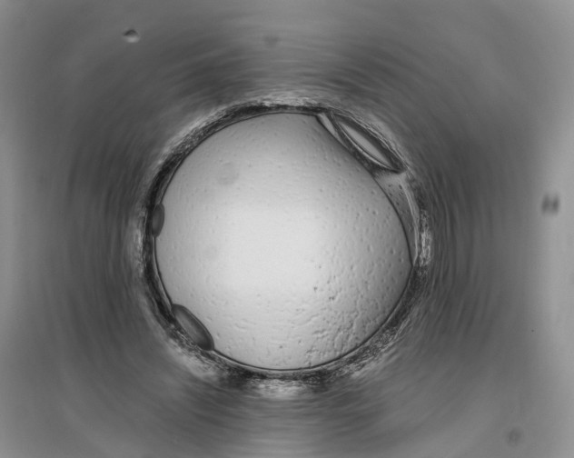 X0000096710444200802261633