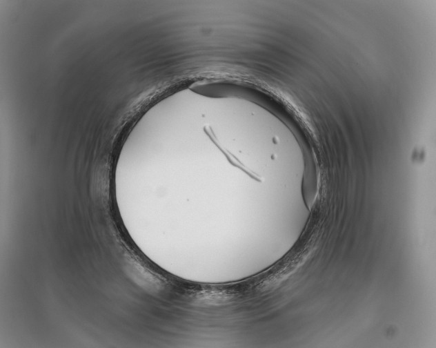 X0000096710445200802261633