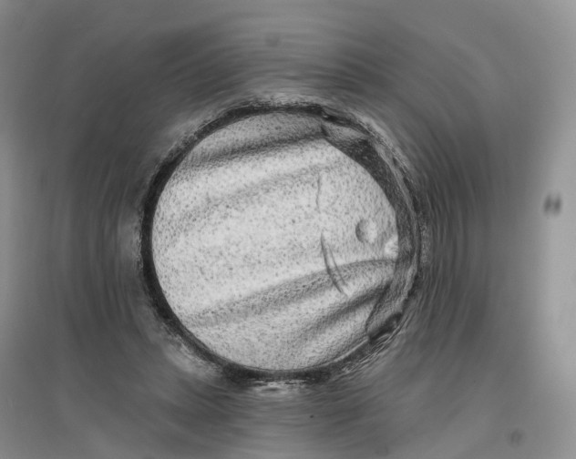 X0000096710447200802261633