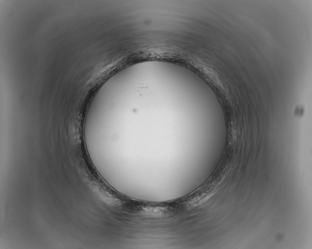 X0000096710450200802261633