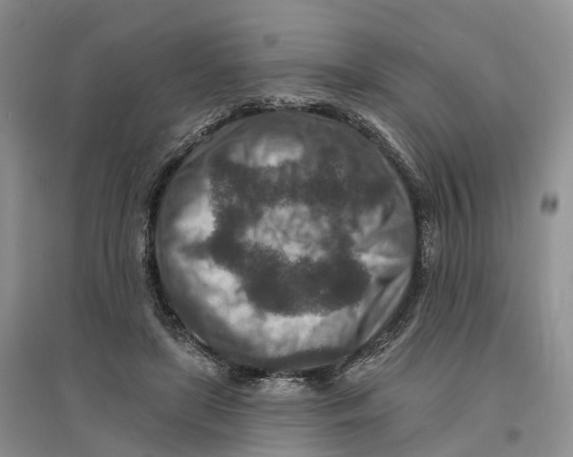 X0000096710451200802261633