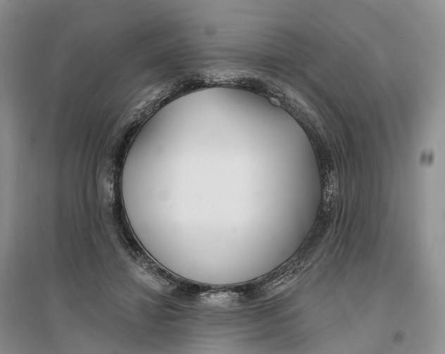 X0000096710452200802261633